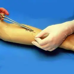 مولاژ سچور ( بخیه ) دست جهت آموزش بخیه