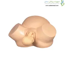 مولاژ شبیه ساز زایمان طبیعی سخت