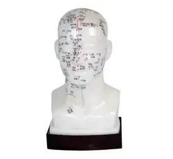 مولاژ طب سوزنی سر