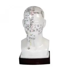 مولاژ طب سوزنی سر