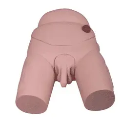 مولاژ مدل کامل مجاری ادراری آقایان