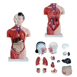 مولاژ نیم تنه 15 قسمتی 1/2