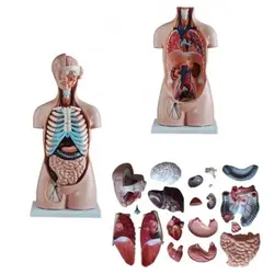 مولاژ نیم تنه 20 قسمتی