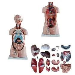 مولاژ نیم تنه ۲۰ قسمتی ۱/۱