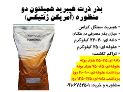 بذر ذرت هیبرید همیلتون دو منظوره (آمریکن ژنتیکس)