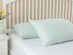 روبالشی ست دو عددی نخی طرحدار سایز 50×70 رنگ آبی فیروزه ای انگلیش هوم
