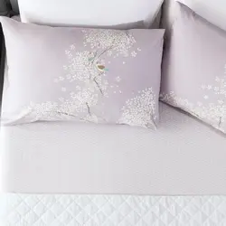 ست ملحفه و روبالشی یک نفره Oiseaux Ranforce 160×240 – یاسی مادام کوکو