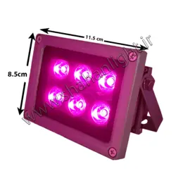 پرژکتور رشد گیاه