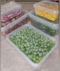 ظروف فریزری درب دار 700 سی سی