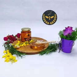 عسل 500 گرمی باریجه شهنای