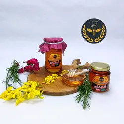 عسل 500 گرمی گشنیز شهنای