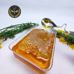 عسل 500 گرمی گون همراه با موم شهنای