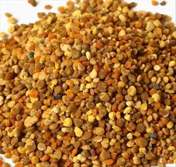 گرده گل 50 گرمی زنبور عسل شهنای