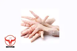 پای مرغ