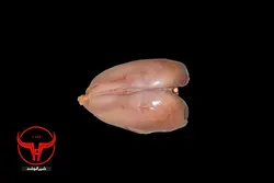 سینه مرغ