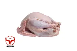 گوشت بوقلمون