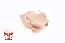 مرغ کامل