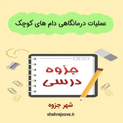 دانلود جزوه عملیات درمانگاهی دام های کوچک (رشته دامپزشکی)