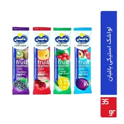 لواشک استیکی باغبان ۲۰/۰۰۰ فروش ( ۲۴ عددی )