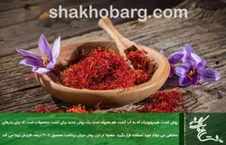 آموزش کشت زعفران هیدروپونیک