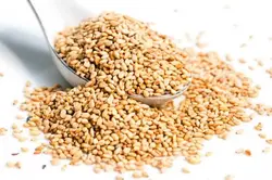 کنجد