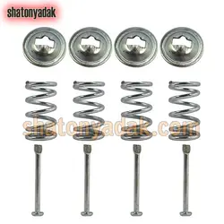 میخ و پولک و فنر لنت عقب پارس|405|سمند