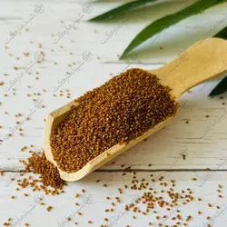 خاکشیر شید مارکت