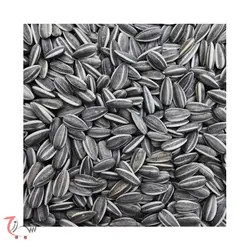 تخمه افتاب گردان 250 گرمی