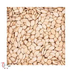 تخمه کدو 250 کیلویی