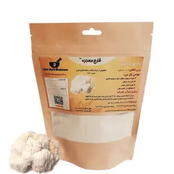 پودر قارچ یال شیر (100 گرمی)