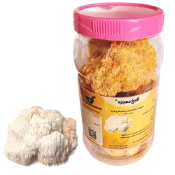 پودر قارچ یال شیر (100 گرمی)