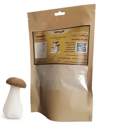 پودر قارچ شاه صدف – ارینجی (۱۰۰ گرمی)