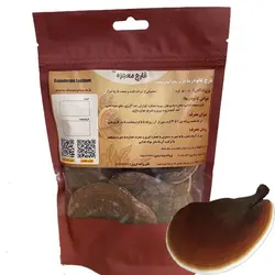 قارچ گانودرما (50 گرمی)