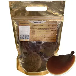 قارچ گانودرما (۱۰۰ گرمی)