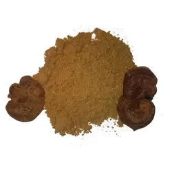 پودر قارچ گانودرما (۵۰ گرمی)