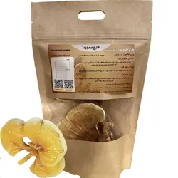 قارچ گانودرما (۵۰ گرمی) زرد