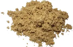 قارچ گانودرما (۵۰ گرمی) زرد
