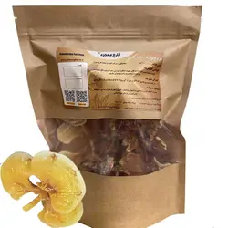 قارچ گانودرما (۲۰۰ گرمی) زرد