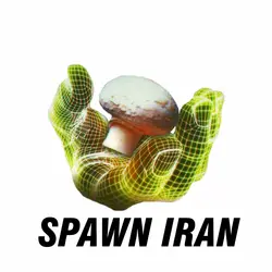 بذر قارچ دکمه ای