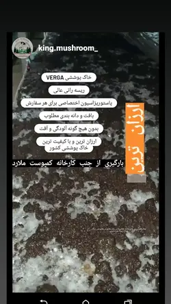 خاک پوششی ورگا(VERGA)ملارد