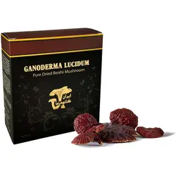قارچ گانودرما سالم – بسته 100 گرمی