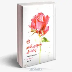 کتاب به مجنون گفتم زنده بمان،شهیدحمید باکری