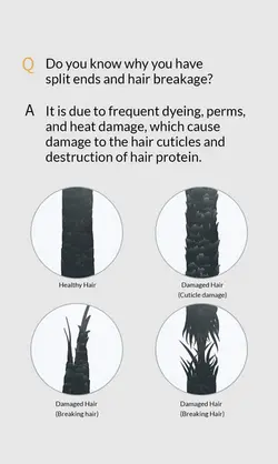 فیلر درمانی تخلخل مو فارم استی یک عددی FARMSTAY Ceramide Damage Clinic Hair Filler