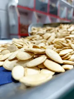 تخمه کدو گوشتی خارجی کم نمک(یک کیلو)