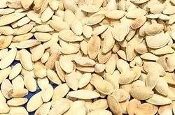 تخمه کدو گوشتی صابونی و شور