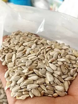 مغز تخمه آفتابگردان خام (یک کیلو)