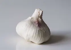 سیر