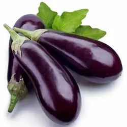 بادمجان