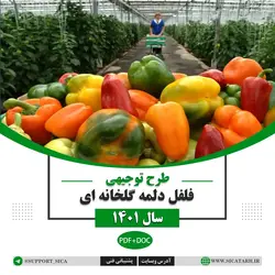 طرح توجیهی فلفل دلمه گلخانه سال ۱۴۰۱