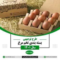 طرح توجیهی بسته بندی تخم مرغ سال ۱۴۰۱